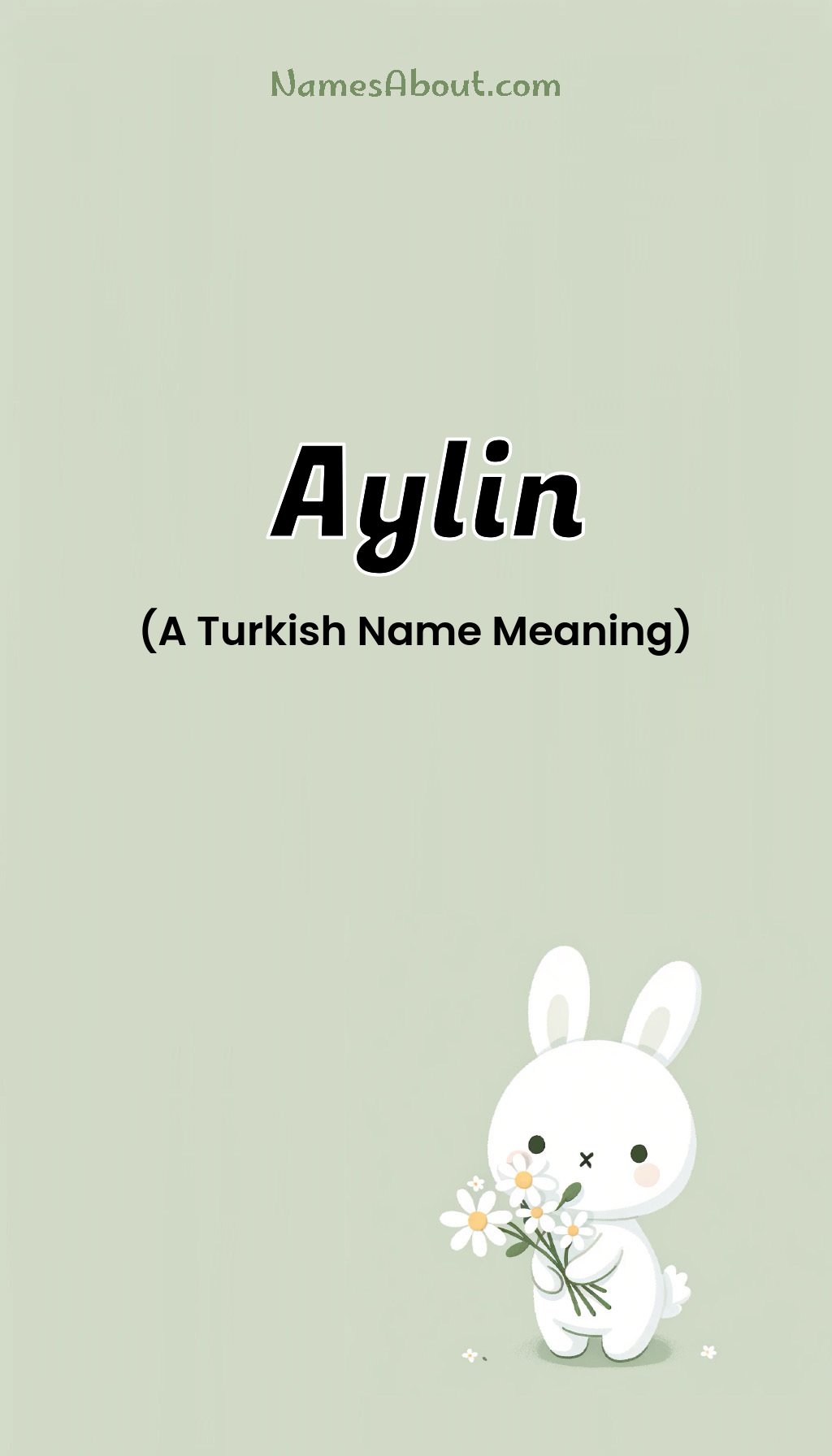 Aylin name and meaning