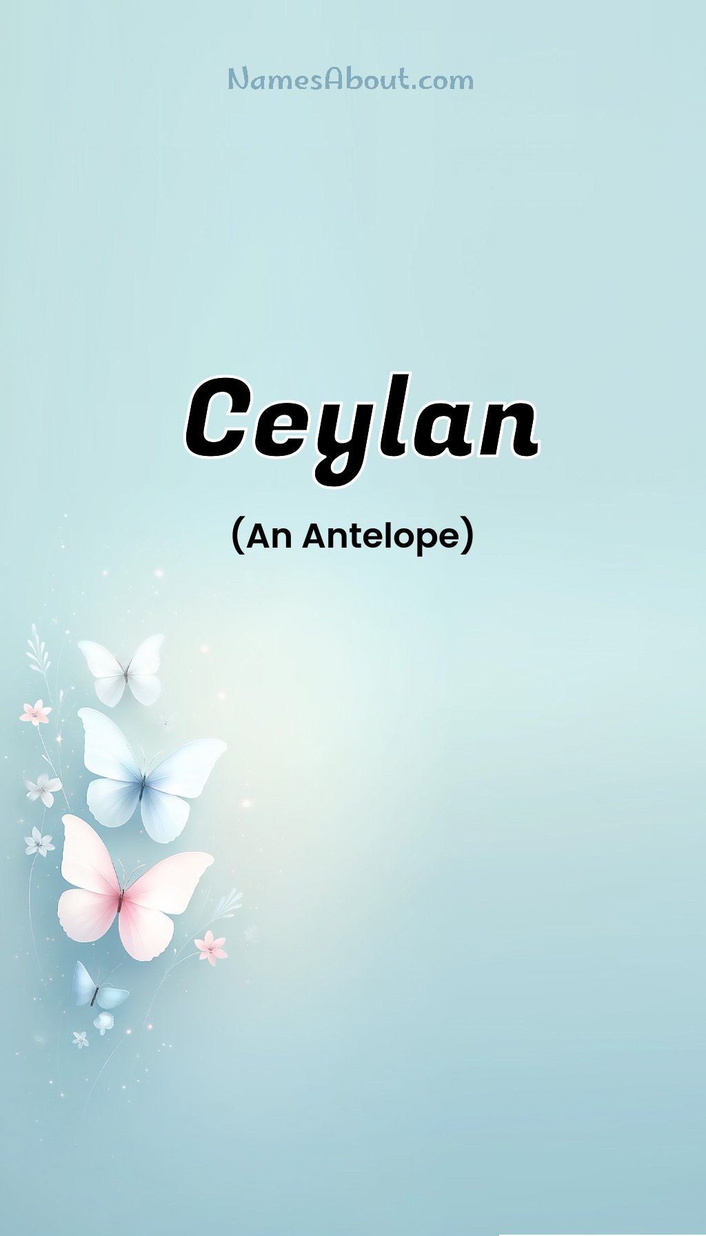 Ceylan name and meaning