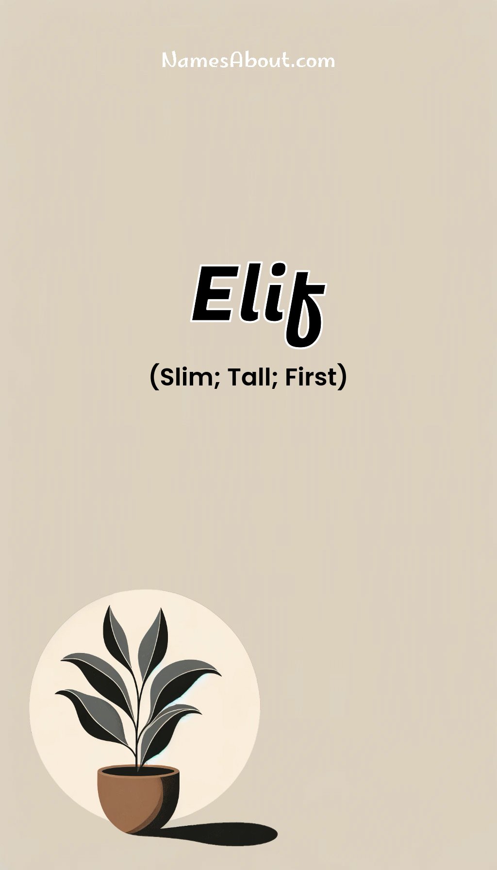 Elif name and meaning