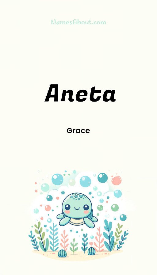 Meaning of Aneta