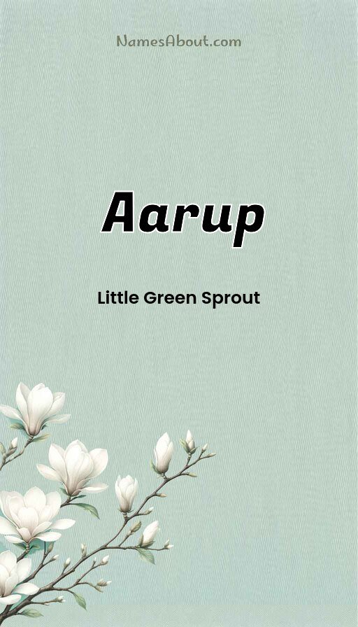 Meaning of Aarup