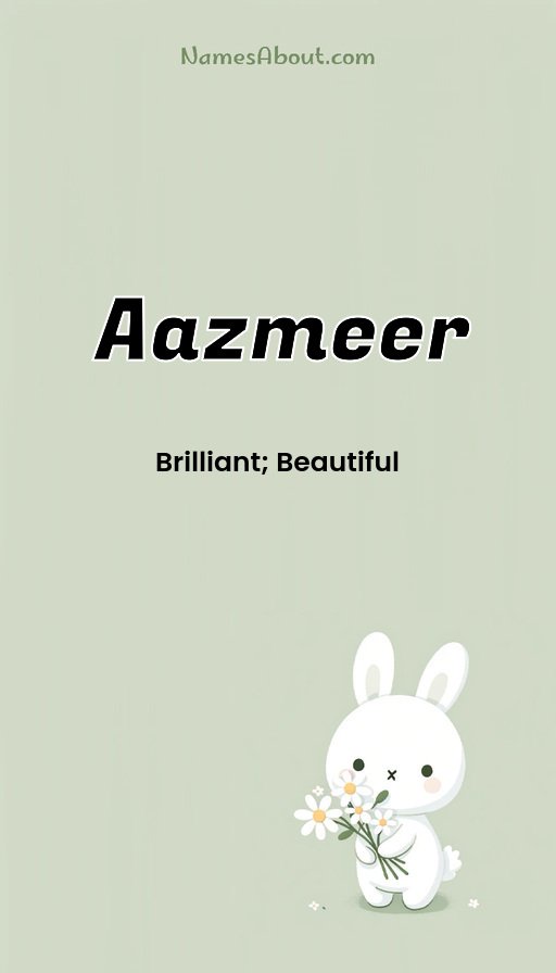 Meaning of Aazmeer