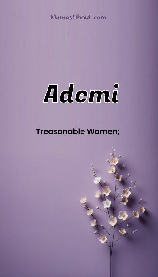 Meaning of Ademi