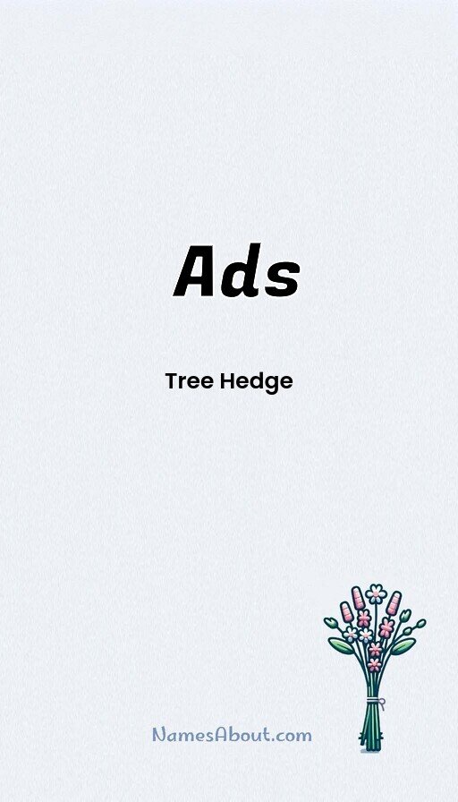 Meaning of Ads