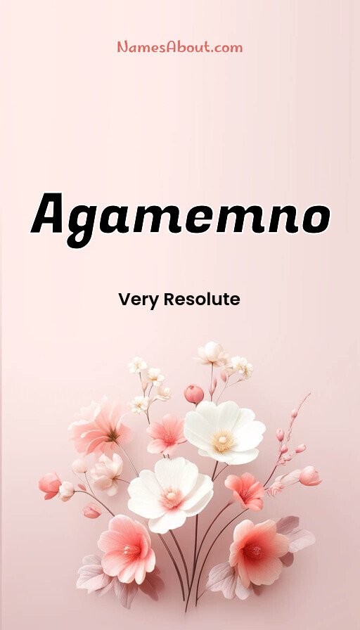 Meaning of Agamemno