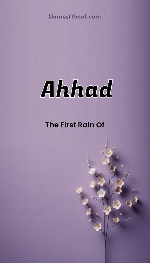 Meaning of Ahhad