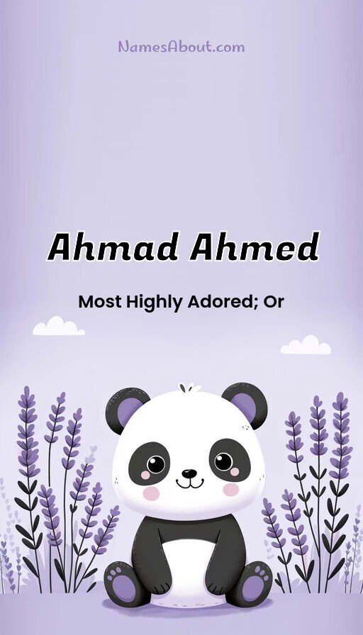 Meaning of Ahmad ahmed