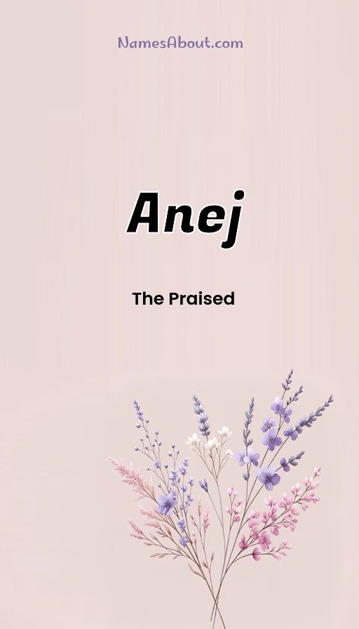 Meaning of Anej