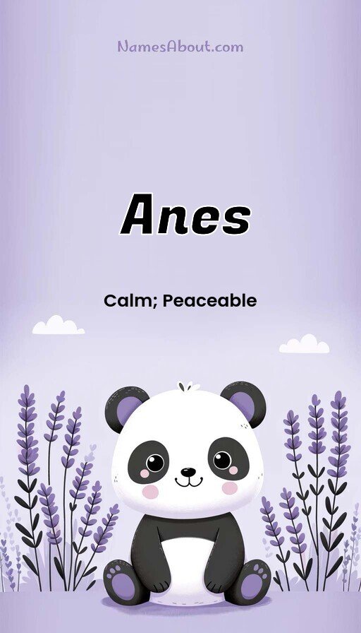 Meaning of Anes