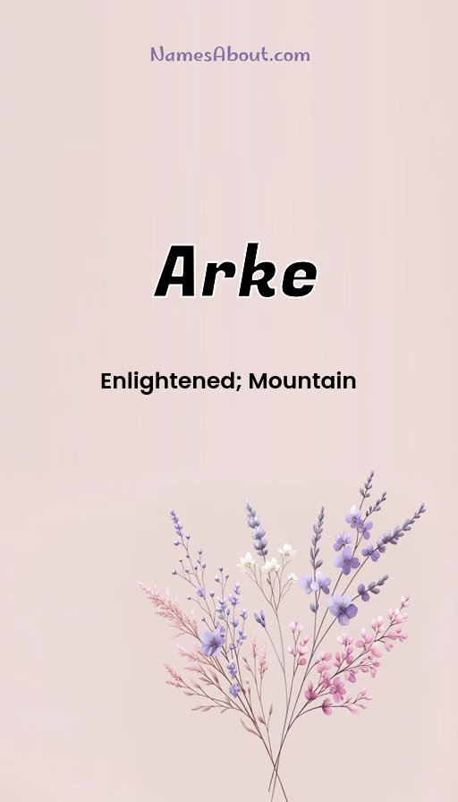 Meaning of Arke