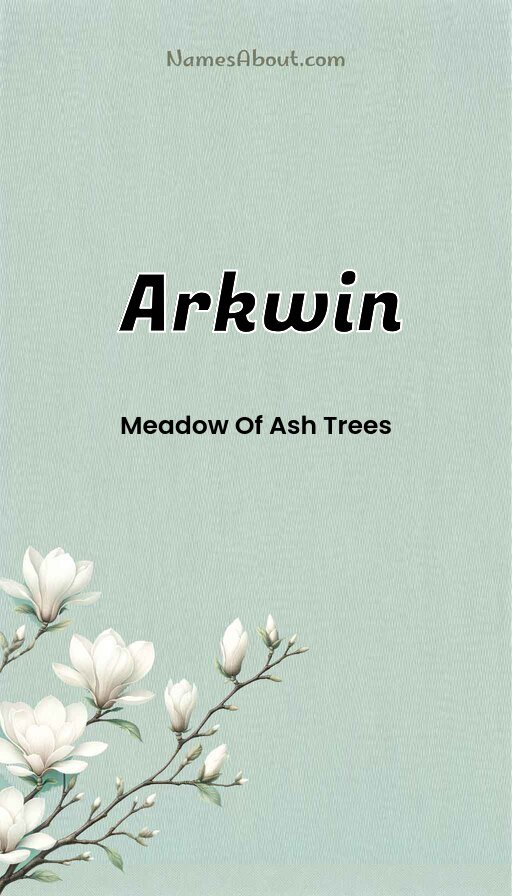Meaning of Arkwin