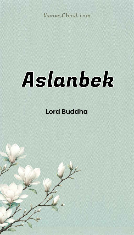 Meaning of Aslanbek