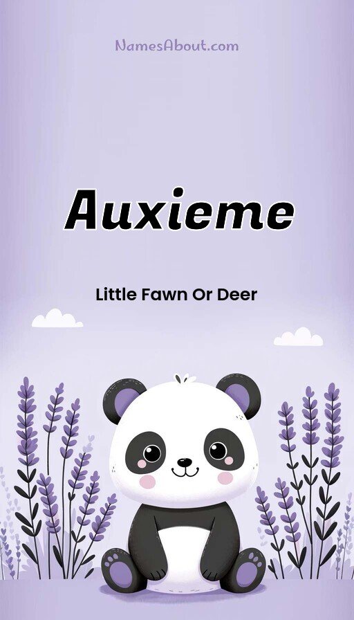 Meaning of Auxieme