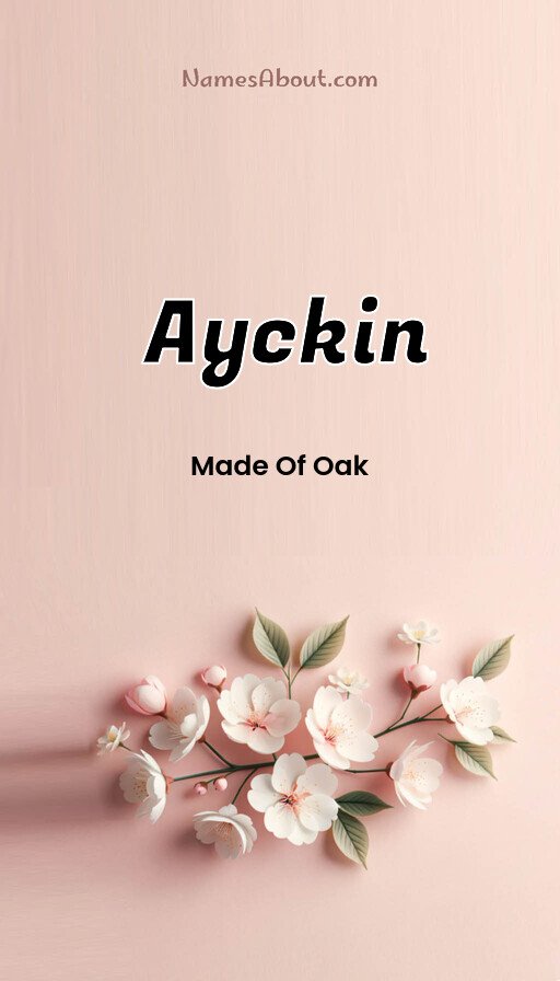 Meaning of Ayckin