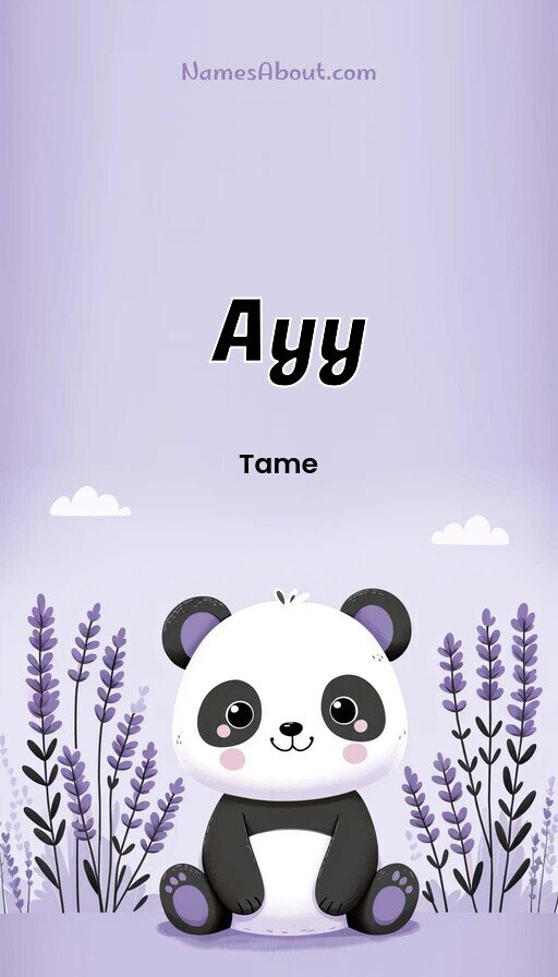 Meaning of Ayy