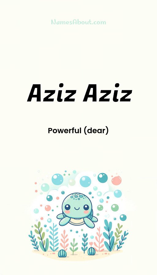 Meaning of Aziz aziz