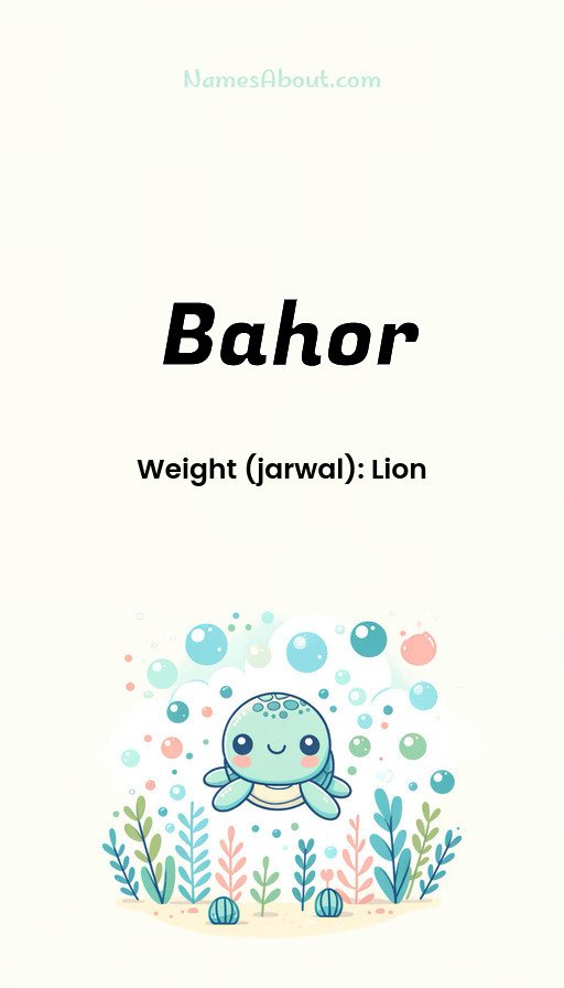 Meaning of Bahor