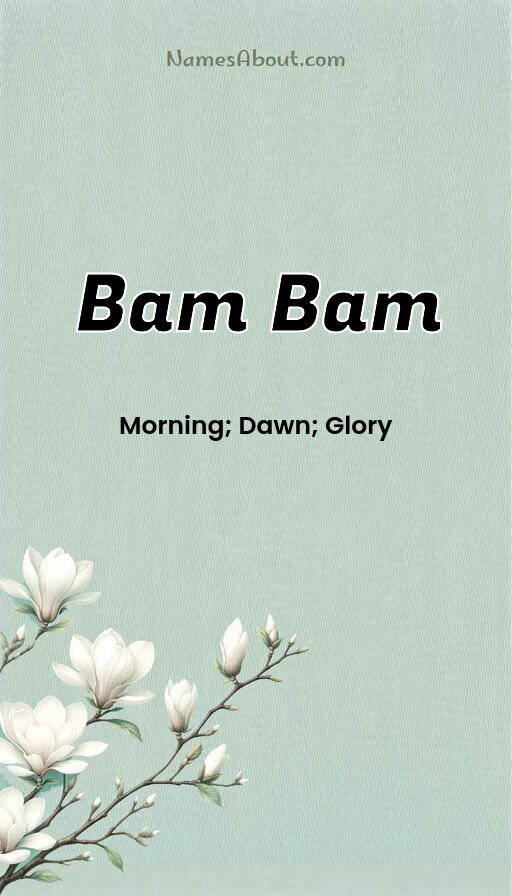 Meaning of Bam Bam