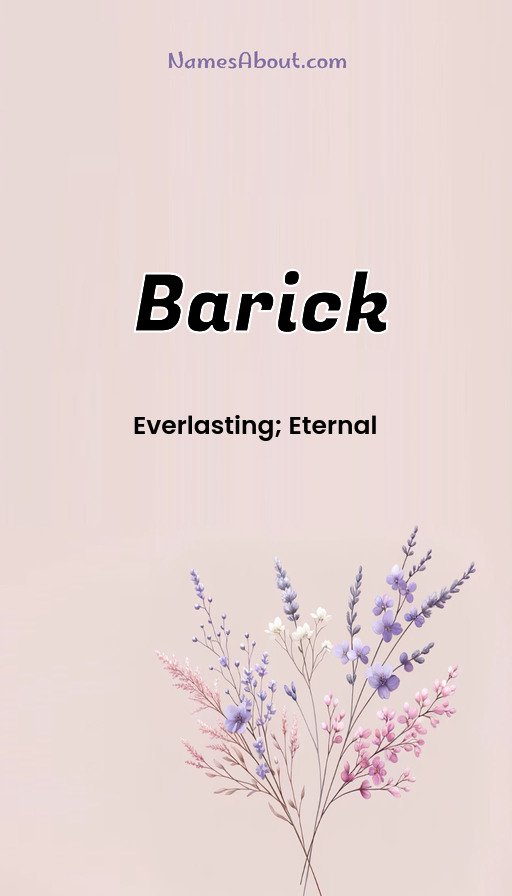 Meaning of Barick