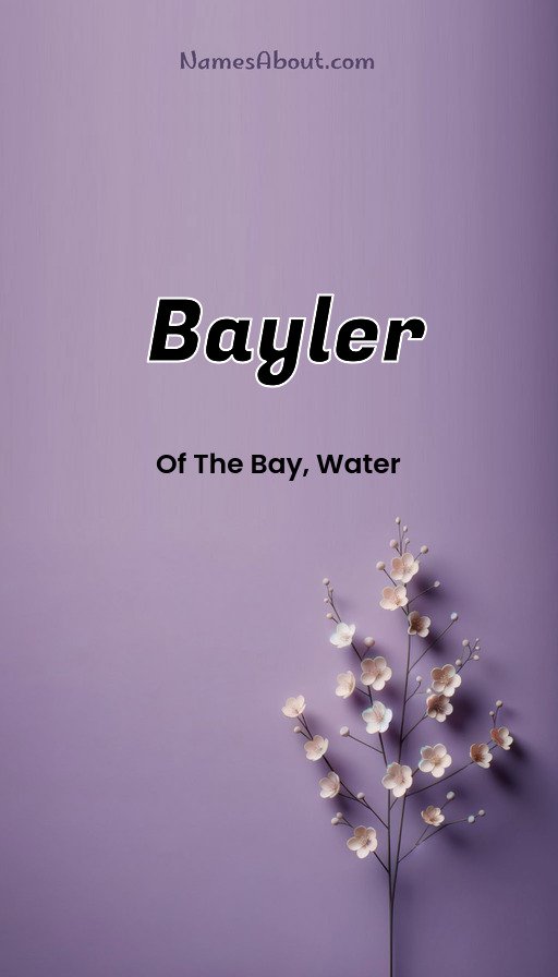 Meaning of Bayler