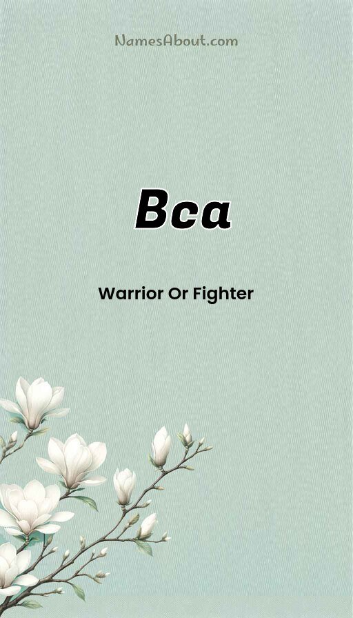 Meaning of Bca