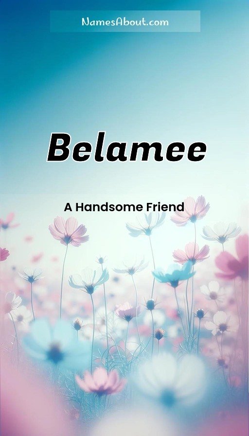 Meaning of Belamee