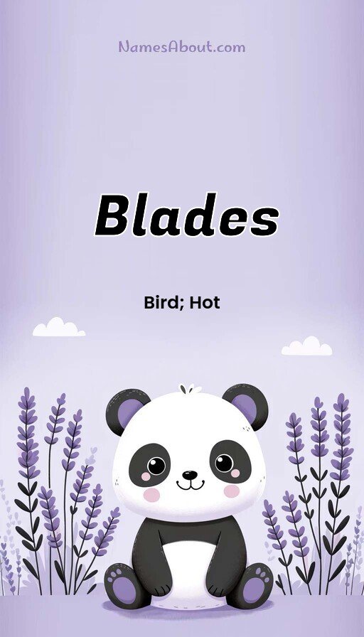 Meaning of Blades