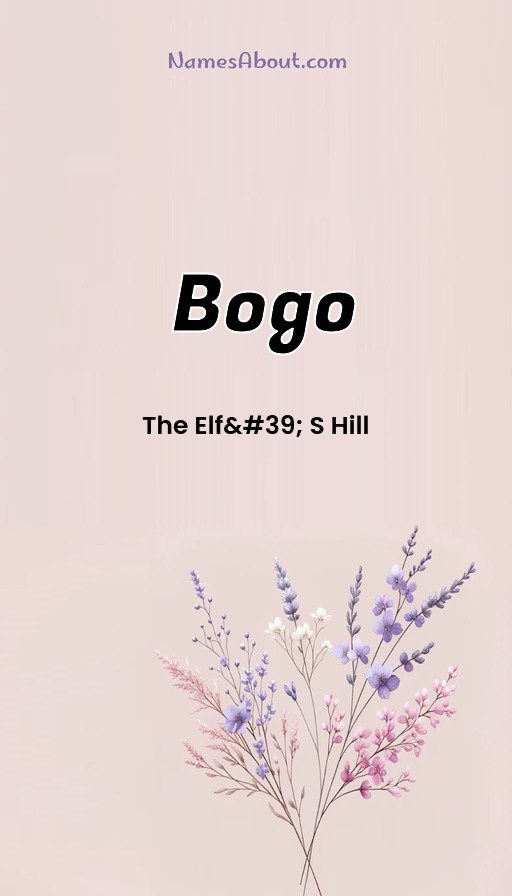 Meaning of Bogo