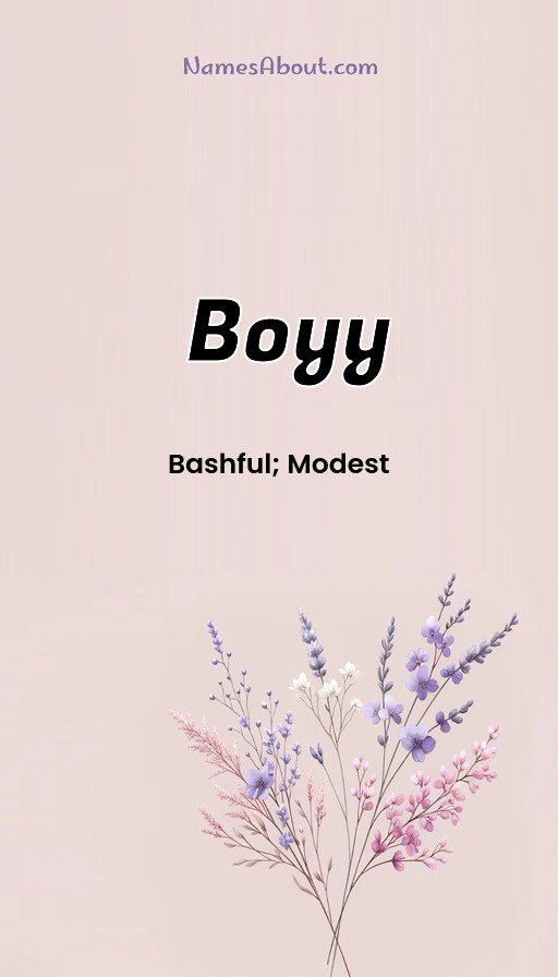 Meaning of Boyy