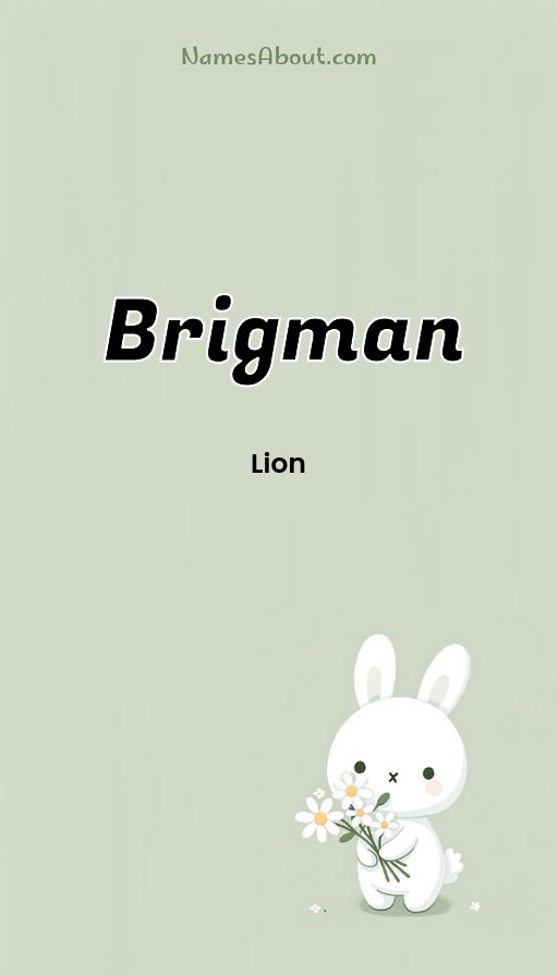 Meaning of Brigman