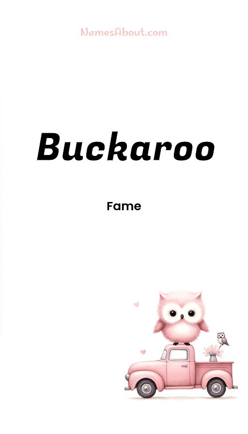 Meaning of Buckaroo
