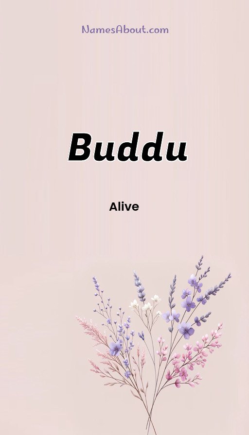 Meaning of Buddu