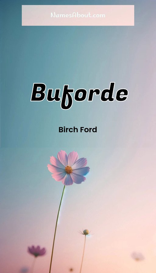Meaning of Buforde