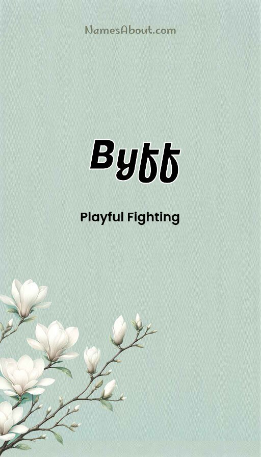 Meaning of Byff