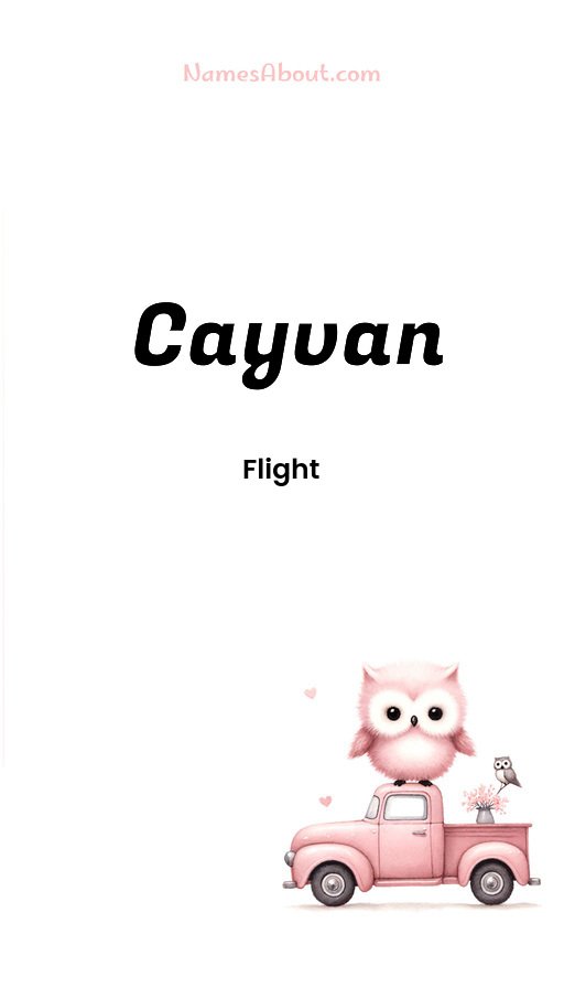 Meaning of Cayvan