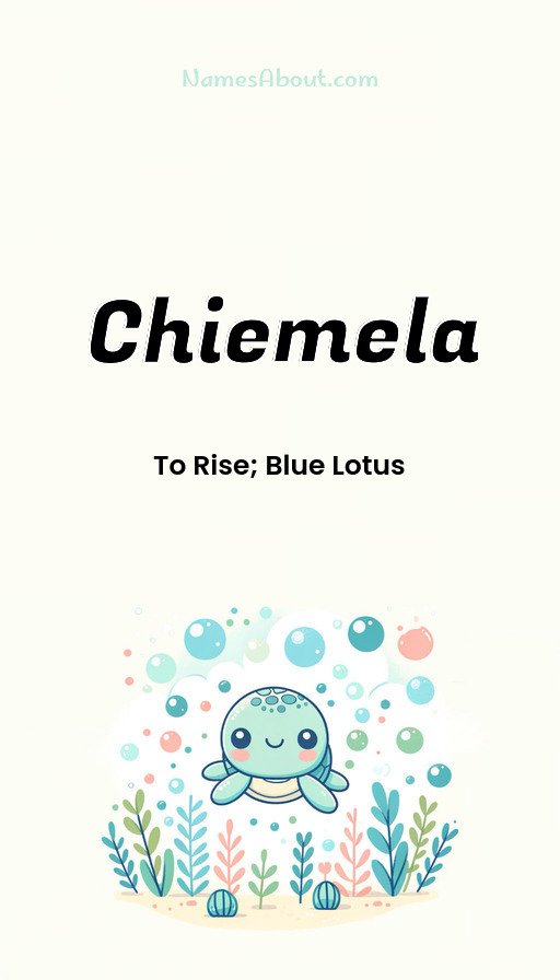 Meaning of Chiemela