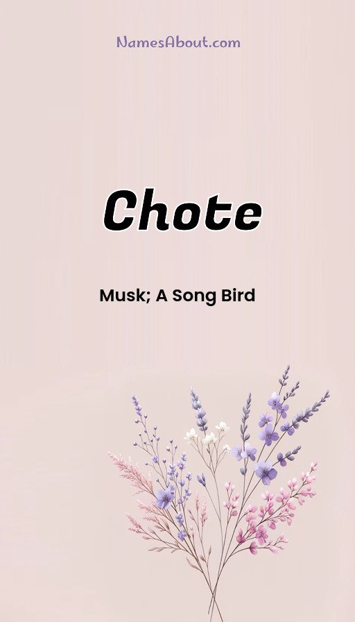 Meaning of Chote