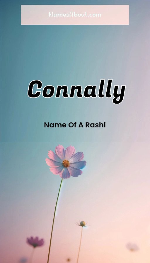 Meaning of Connally