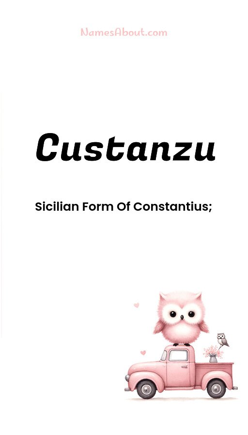 Meaning of Custanzu