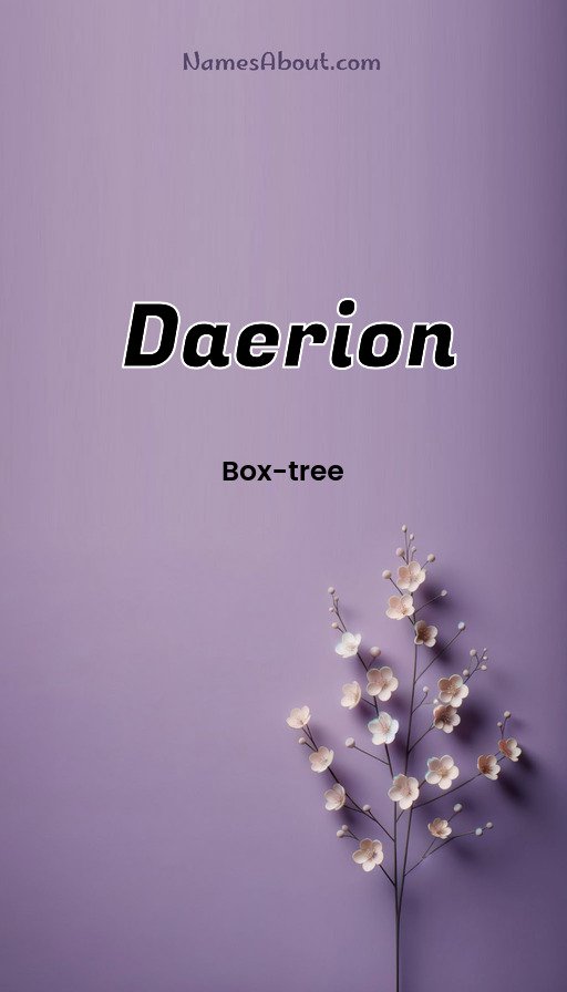 Meaning of Daerion