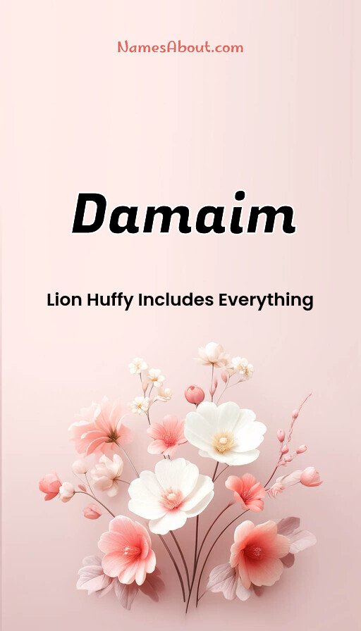 Meaning of Damaim