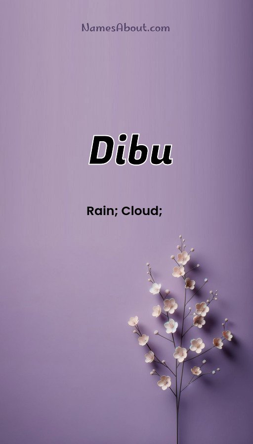 Meaning of Dibu
