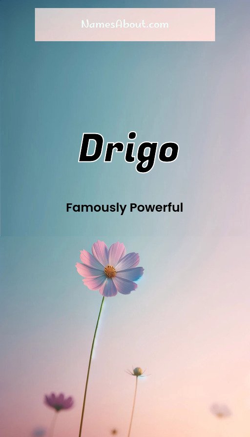 Meaning of Drigo