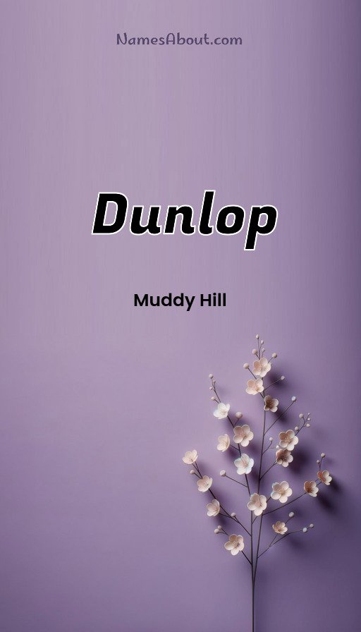 Meaning of Dunlop