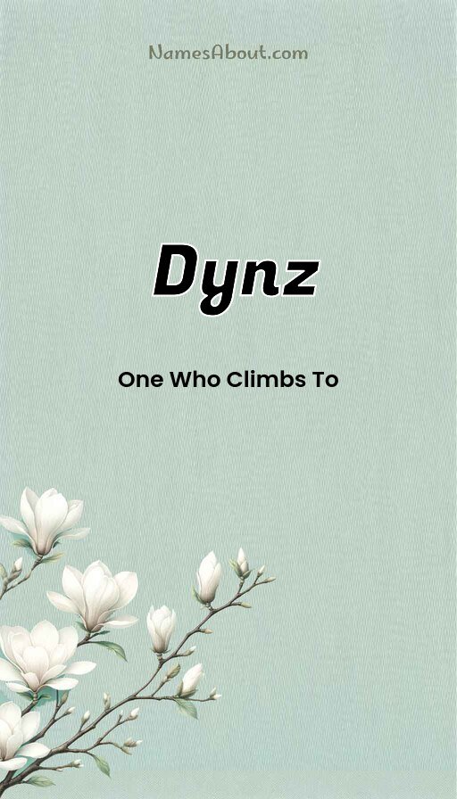 Meaning of Dynz