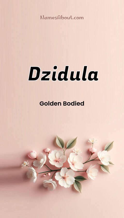 Meaning of Dzidula