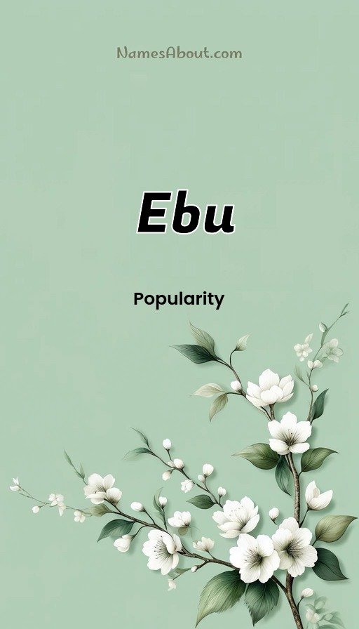 Meaning of Ebu