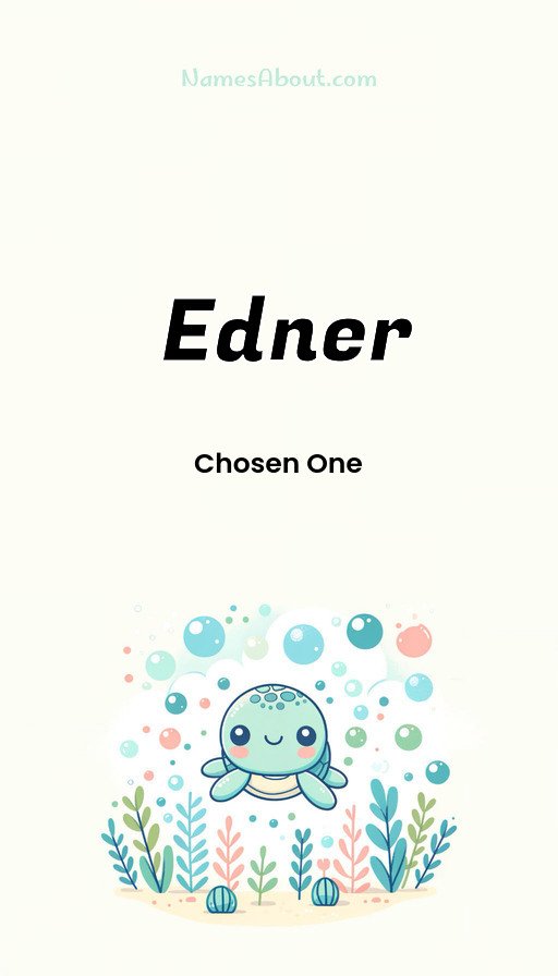 Meaning of Edner