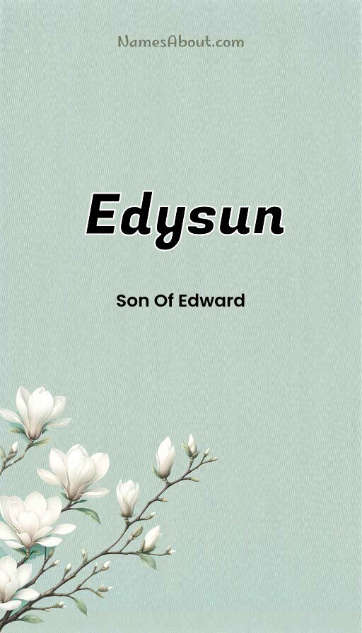 Meaning of Edysun