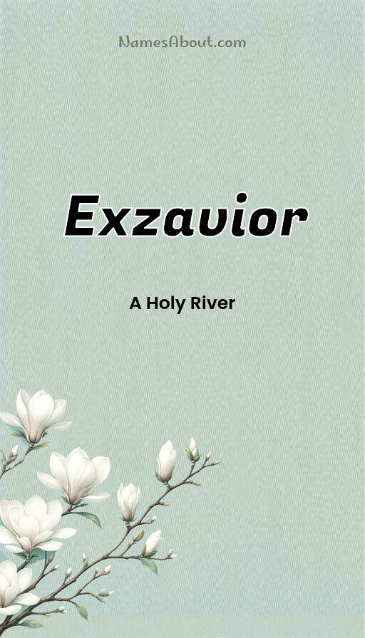 Meaning of Exzavior